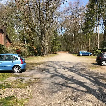 Campsite Luxe Stacaravan Type Elise 16 *